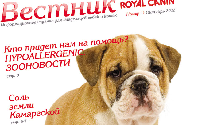 1375769678royal_canin.jpg