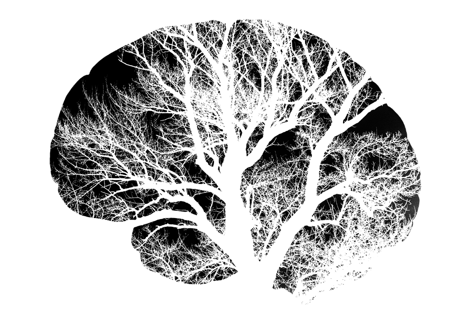 brain-2139197_960_720.png brain-2139197_960_720.png